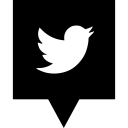 پیش‌نمایش فایل twitter-120 از پک پین های شبکه های اجتماعی