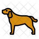 پیش‌نمایش فایل dog-4747527 از پک کودک