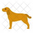پیش‌نمایش فایل dog-4747540 از پک کودک