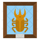 پیش‌نمایش فایل entomology-4747549 از پک کودک