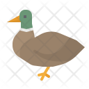 پیش‌نمایش فایل duck-182 از پک مزرعه و محصولات