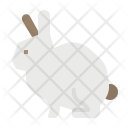 پیش‌نمایش فایل rabbit-186 از پک مزرعه و محصولات