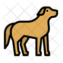 پیش‌نمایش فایل dog-1416695 از پک حیوانات