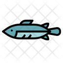 پیش‌نمایش فایل fish-1416690 از پک حیوانات