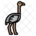 پیش‌نمایش فایل ostrich-1416681 از پک حیوانات