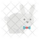 پیش‌نمایش فایل bunny-1416826 از پک حیوانات
