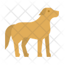 پیش‌نمایش فایل dog-1416855 از پک حیوانات