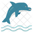 پیش‌نمایش فایل dolphin-1416854 از پک حیوانات