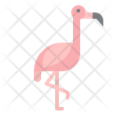 پیش‌نمایش فایل flamingo-1416849 از پک حیوانات
