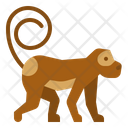 پیش‌نمایش فایل monkey-1416843 از پک حیوانات