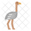 پیش‌نمایش فایل ostrich-1416841 از پک حیوانات