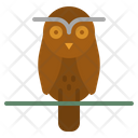 پیش‌نمایش فایل owl-1416840 از پک حیوانات