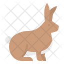 پیش‌نمایش فایل rabbit-1416837 از پک حیوانات
