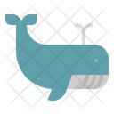 پیش‌نمایش فایل whale-1416829 از پک حیوانات