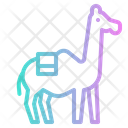 پیش‌نمایش فایل camel-1416893 از پک حیوانات