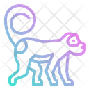 پیش‌نمایش فایل monkey-1416875 از پک حیوانات