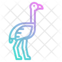 پیش‌نمایش فایل ostrich-1416873 از پک حیوانات