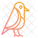 پیش‌نمایش فایل bird-2343452 از پک پاییز