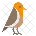 پیش‌نمایش فایل bird-2343450 از پک پاییز