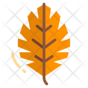 پیش‌نمایش فایل leaf-2343440 از پک پاییز
