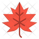 پیش‌نمایش فایل leaf-2343442 از پک پاییز