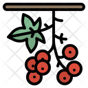 پیش‌نمایش فایل berry-2343393 از پک پاییز
