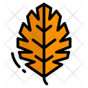 پیش‌نمایش فایل leaf-2343382 از پک پاییز