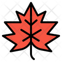 پیش‌نمایش فایل leaf-2343384 از پک پاییز