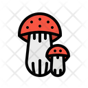 پیش‌نمایش فایل mushroom-2343380 از پک پاییز