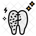 پیش‌نمایش فایل decay-2343770 از پک دندانپزشکی