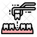 پیش‌نمایش فایل teeth-2343765 از پک دندانپزشکی