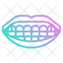پیش‌نمایش فایل retainer-2343691 از پک دندانپزشکی