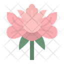 پیش‌نمایش فایل peonie-2342096 از پک فرهنگ چینی
