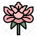 پیش‌نمایش فایل peonie-2342074 از پک فرهنگ چینی