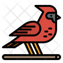 پیش‌نمایش فایل bird-2341905 از پک زمستان