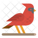 پیش‌نمایش فایل bird-2341981 از پک زمستان