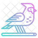 پیش‌نمایش فایل bird-2342013 از پک زمستان