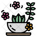 پیش‌نمایش فایل herb-2448818 از پک اسپا