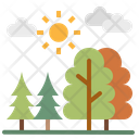 پیش‌نمایش فایل forest-2487954 از پک منظره فضای باز