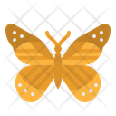 پیش‌نمایش فایل butterfly-2488416 از پک شهر و پارک