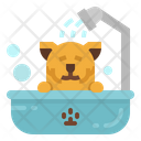 پیش‌نمایش فایل pet-bath-2488720 از پک دامپزشکی