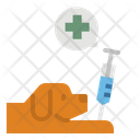 پیش‌نمایش فایل pet-medical-2488729 از پک دامپزشکی