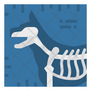 پیش‌نمایش فایل pet-x-rays-2488731 از پک دامپزشکی