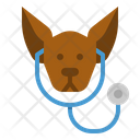 پیش‌نمایش فایل puppy-care-2488722 از پک دامپزشکی
