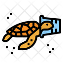 پیش‌نمایش فایل turtle-2774062 از پک آلودگی پلاستیکی