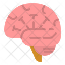 پیش‌نمایش فایل brain-2777966 از پک چولِستِرول