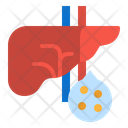 پیش‌نمایش فایل liver-2777947 از پک چولِستِرول