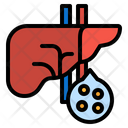 پیش‌نمایش فایل liver-2777910 از پک چولِستِرول