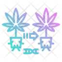 پیش‌نمایش فایل plants-2777824 از پک شاهدانه