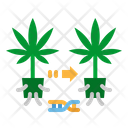 پیش‌نمایش فایل plants-2777787 از پک شاهدانه